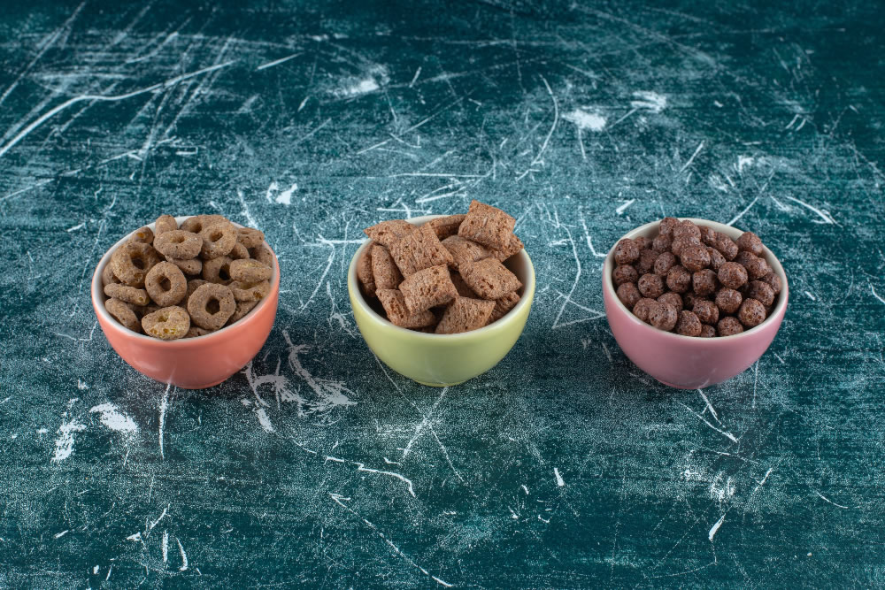 Evcil Hayvan Mamaları: Kedi ve Köpek İçin En Sağlıklı Seçenekler