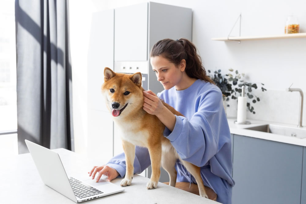 Kedi ve Köpek Bakımında Yapılan Yaygın Hatalar Kedi ve Köpek Bakımında Yapılan Yaygın Hatalar
